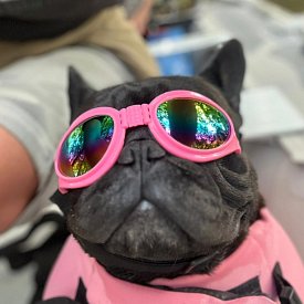 Záchranná plovací vesta pro psa Nobby Elen neon ŽRALOK růžová