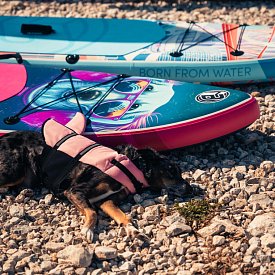 Paddleboard iBOARD 11' DOG - nafukovací