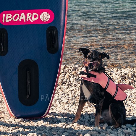 Paddleboard iBOARD 11' DOG - nafukovací