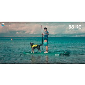 Paddleboard AQUA MARINA BREEZE 9'10 Silver tree 2026