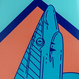 Paddleboard PADDLENAUT SHARKO 11'6'' COMBO 2026 - nafukovací